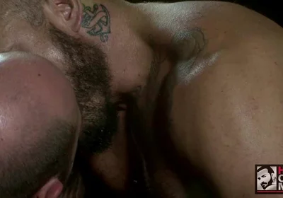Alessio Romero and Rogue Status
