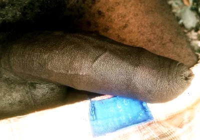 Great Massaging