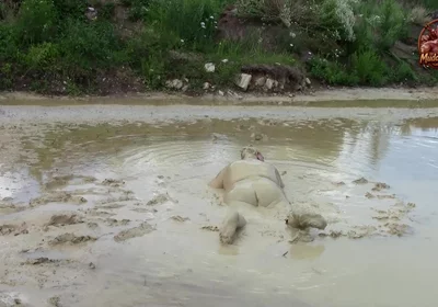 Me Playing in Deep Light Mud