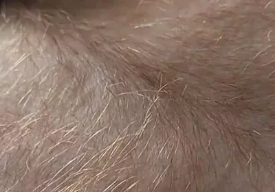 Anybody Want to Run Their Hands Over My Hairy Ginger Chest and Belly?