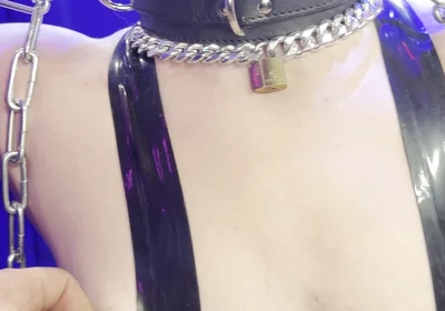 Lucky Puppy Before Test of Endurance