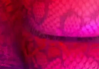 Big Booty
