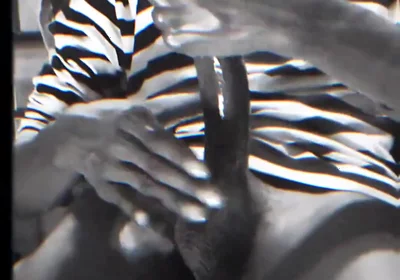 Wanna See a Full Video?