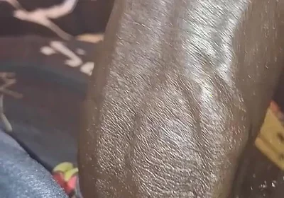 Hows the View