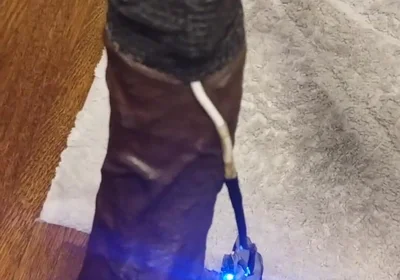 Vibration Cumshot