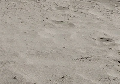 On the Beach Nude