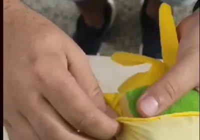 DIY Pussy