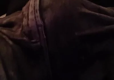 Stepfather on the Phone