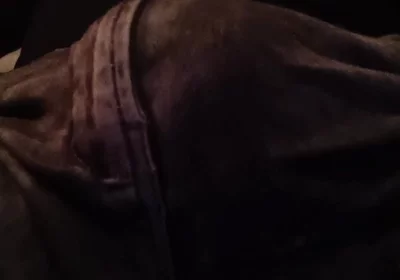 Stepfather on the Phone