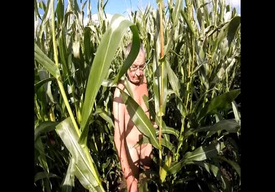 Maize Walk