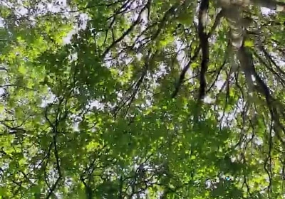Slutboyben Cam4 Sexy Cruising Chick Iii Live Outdoor Exposure