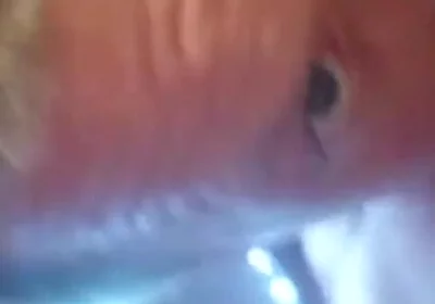 An Intense Orgasm From a Blowjob Cum in Mouth