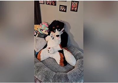 Angrybarks From The Vets Office Teaches Your How To Milk Your Puppy Boyfriend