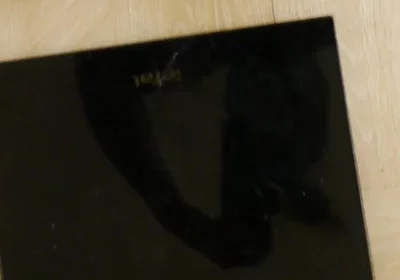 Weighing Your Black Fit Pony