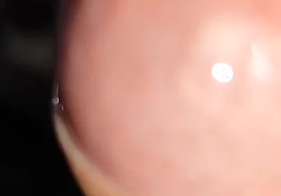 Waking up Excited and with My Cock Soaked in Precum.