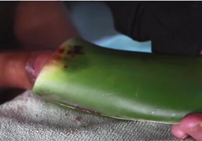 Jerking Off With Aloe Vera Ultil I Nut A Thick Load