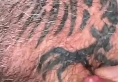 Tit Milk